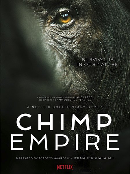 Постер к Империя шимпанзе (1 сезон) / Chimp Empire (2023) WEB-DLRip